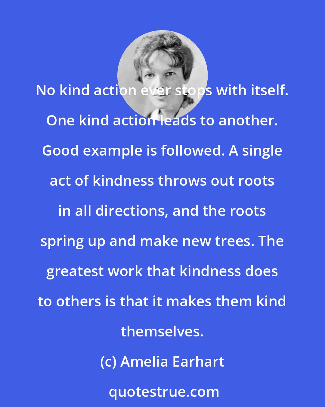 Amelia Earhart: No kind action ever stops with itself. One kind action leads to another. Good example is followed. A single act of kindness throws out roots in all directions, and the roots spring up and make new trees. The greatest work that kindness does to others is that it makes them kind themselves.