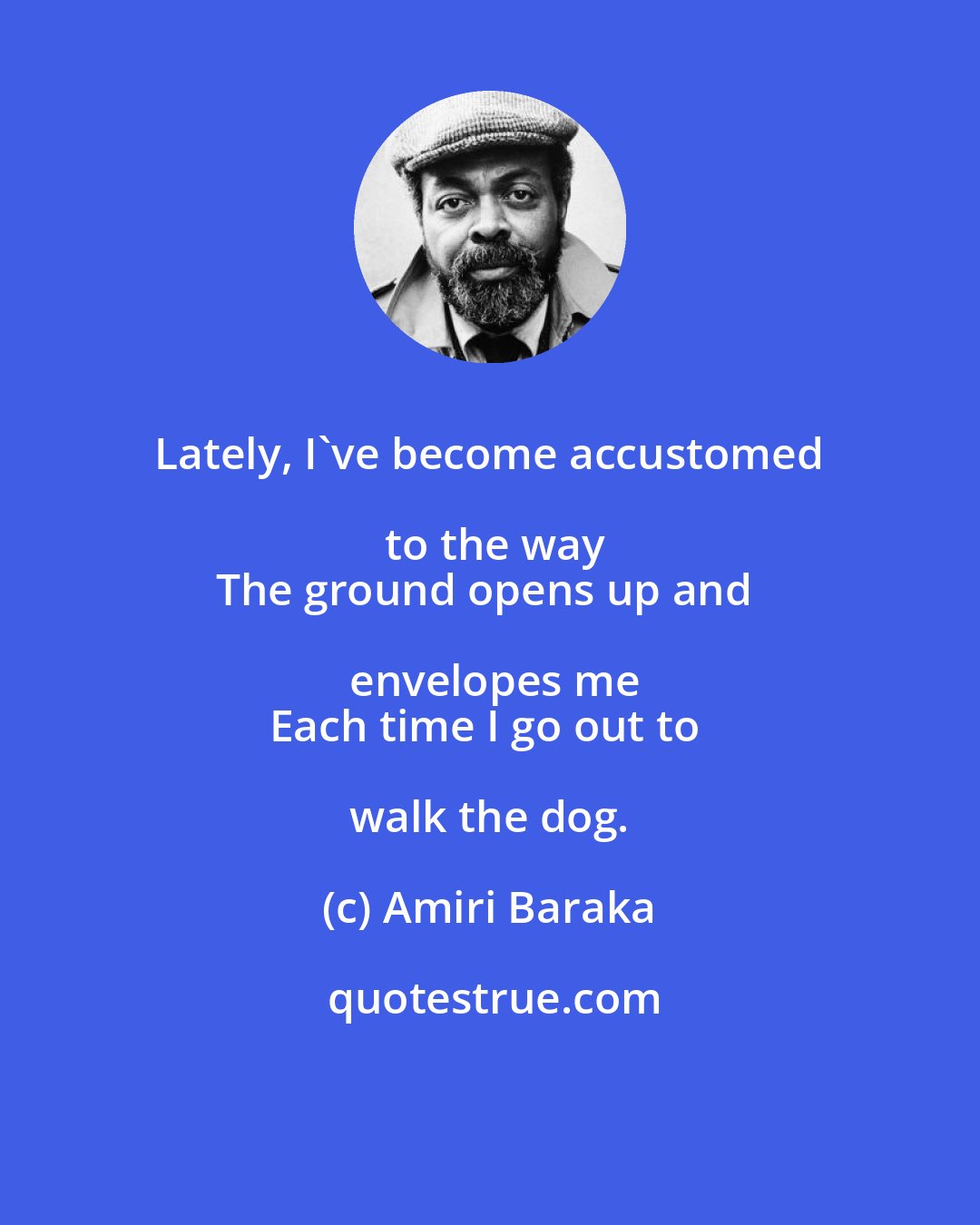 Amiri Baraka: Lately, I've become accustomed to the way
The ground opens up and envelopes me
Each time I go out to walk the dog.