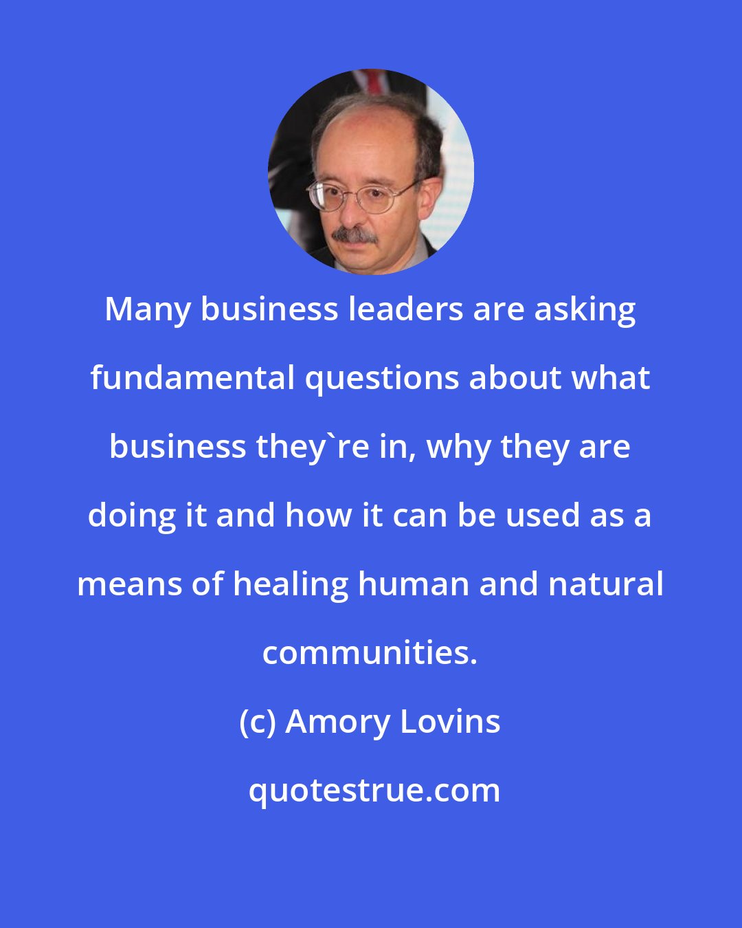 Amory Lovins: Many business leaders are asking fundamental questions about what business they're in, why they are doing it and how it can be used as a means of healing human and natural communities.
