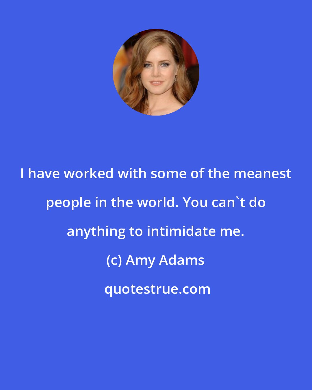 Amy Adams: I have worked with some of the meanest people in the world. You can't do anything to intimidate me.