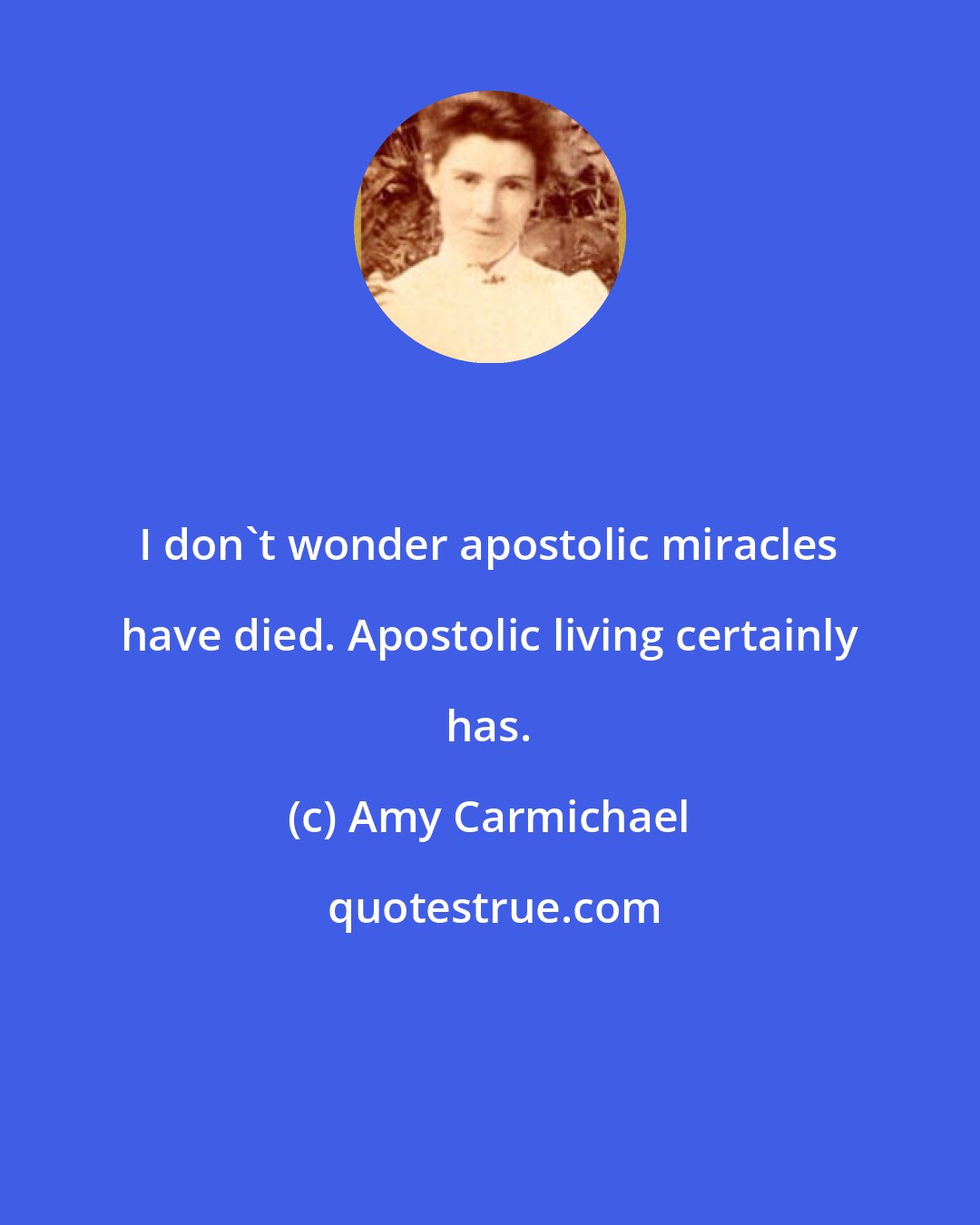 Amy Carmichael: I don't wonder apostolic miracles have died. Apostolic living certainly has.