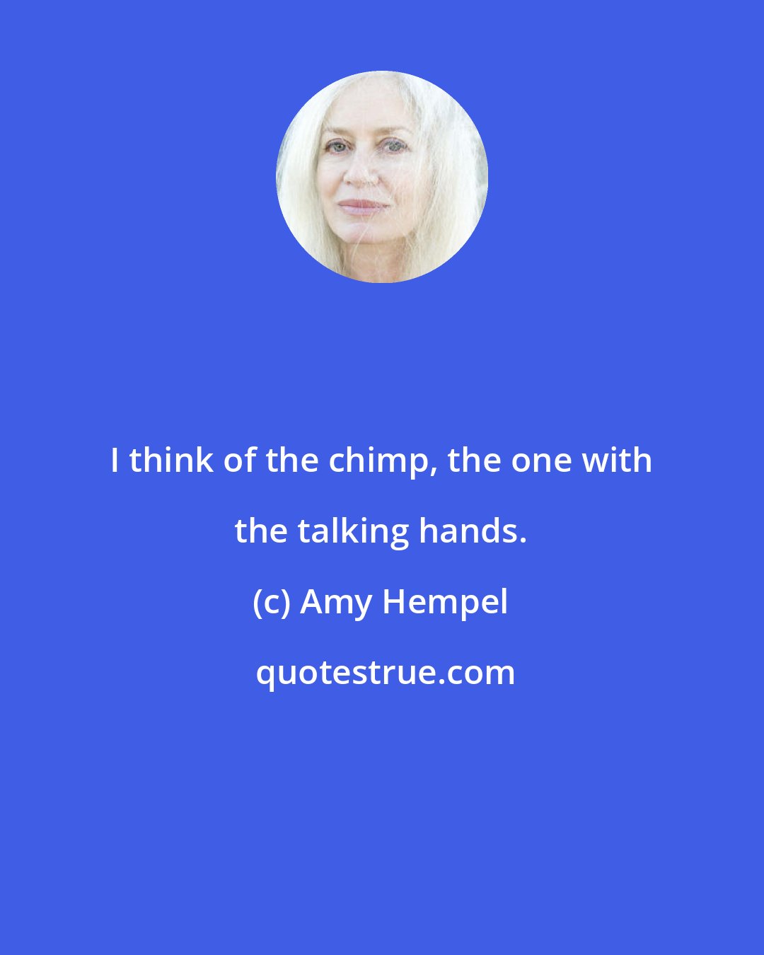 Amy Hempel: I think of the chimp, the one with the talking hands.