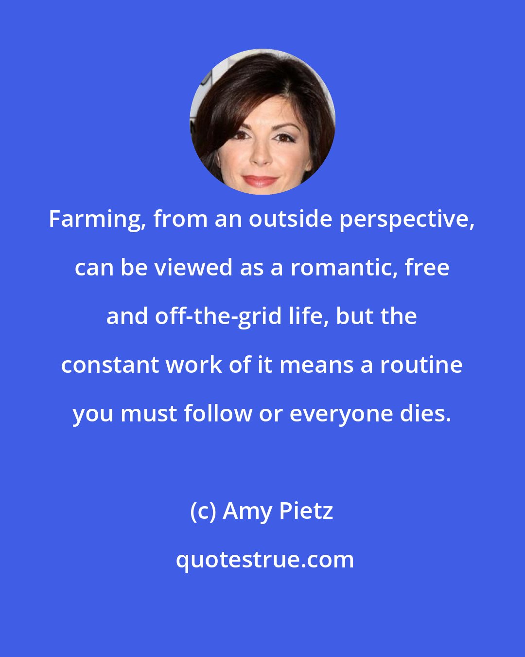 Amy Pietz: Farming, from an outside perspective, can be viewed as a romantic, free and off-the-grid life, but the constant work of it means a routine you must follow or everyone dies.