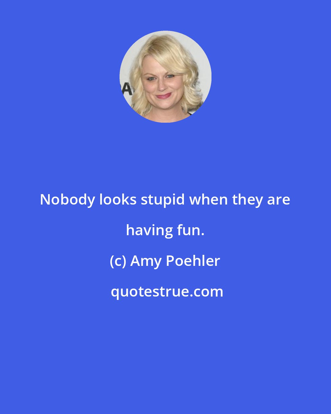 Amy Poehler: Nobody looks stupid when they are having fun.