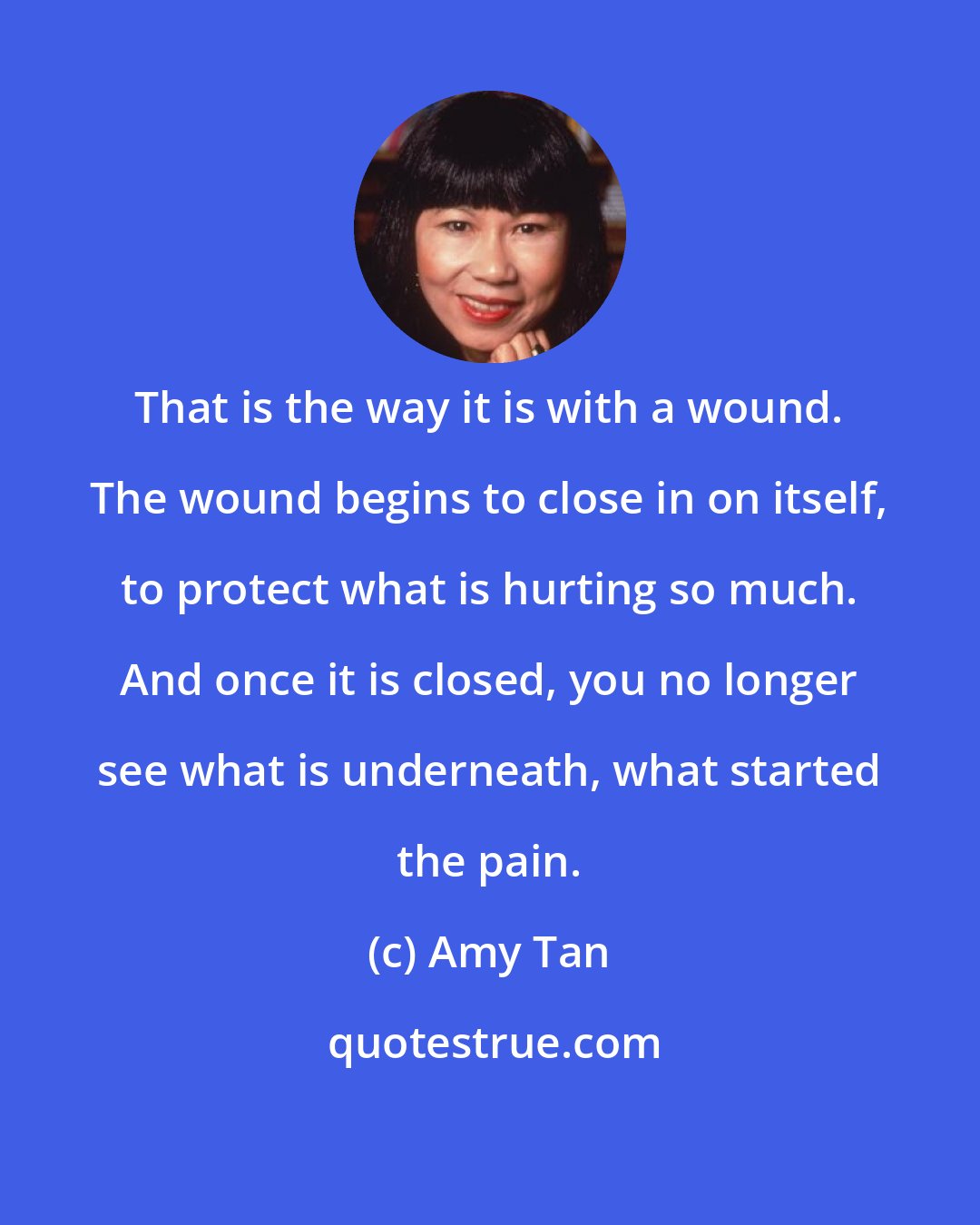 Amy Tan: That is the way it is with a wound. The wound begins to close in on itself, to protect what is hurting so much. And once it is closed, you no longer see what is underneath, what started the pain.