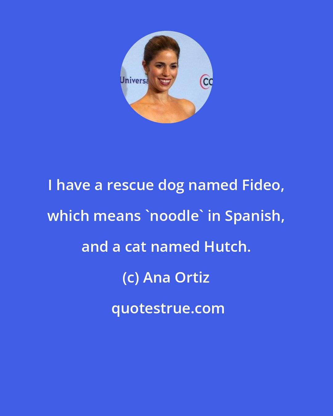 Ana Ortiz: I have a rescue dog named Fideo, which means 'noodle' in Spanish, and a cat named Hutch.