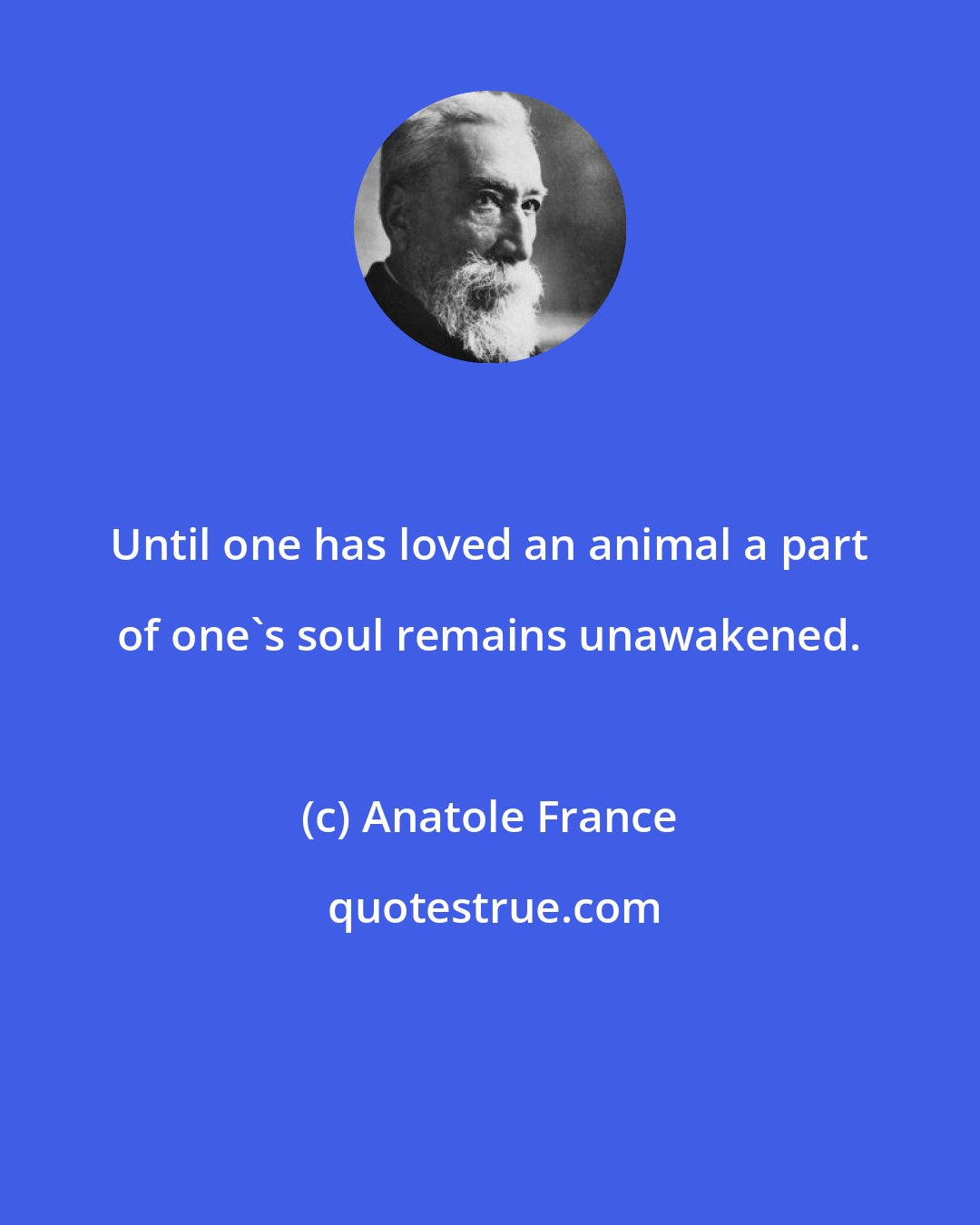 Anatole France: Until one has loved an animal a part of one's soul remains unawakened.