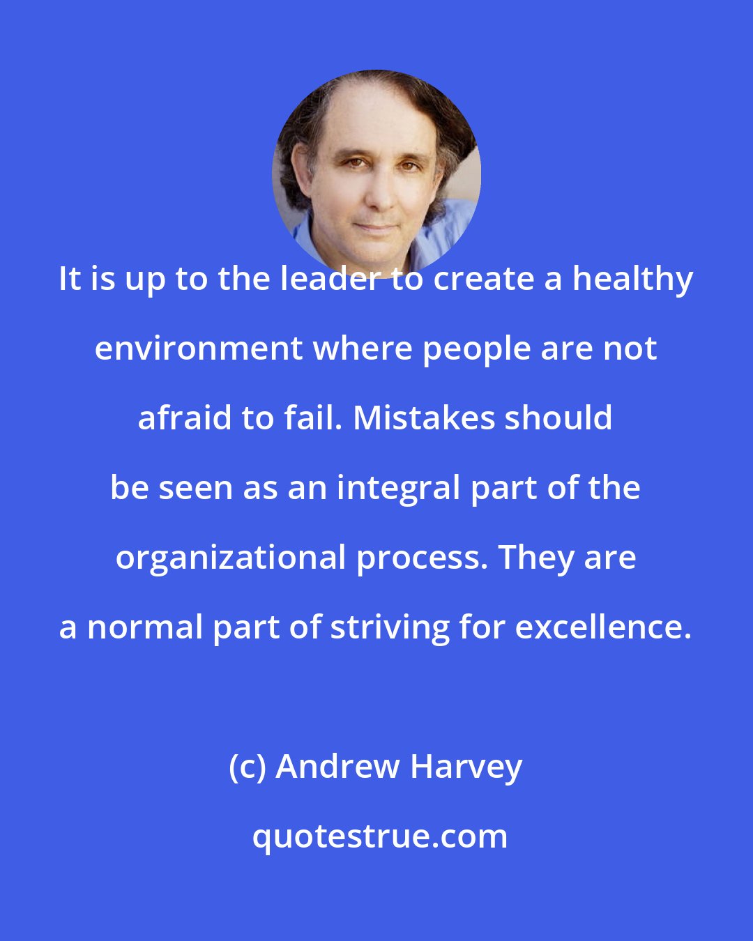 Andrew Harvey: It is up to the leader to create a healthy environment where people are not afraid to fail. Mistakes should be seen as an integral part of the organizational process. They are a normal part of striving for excellence.