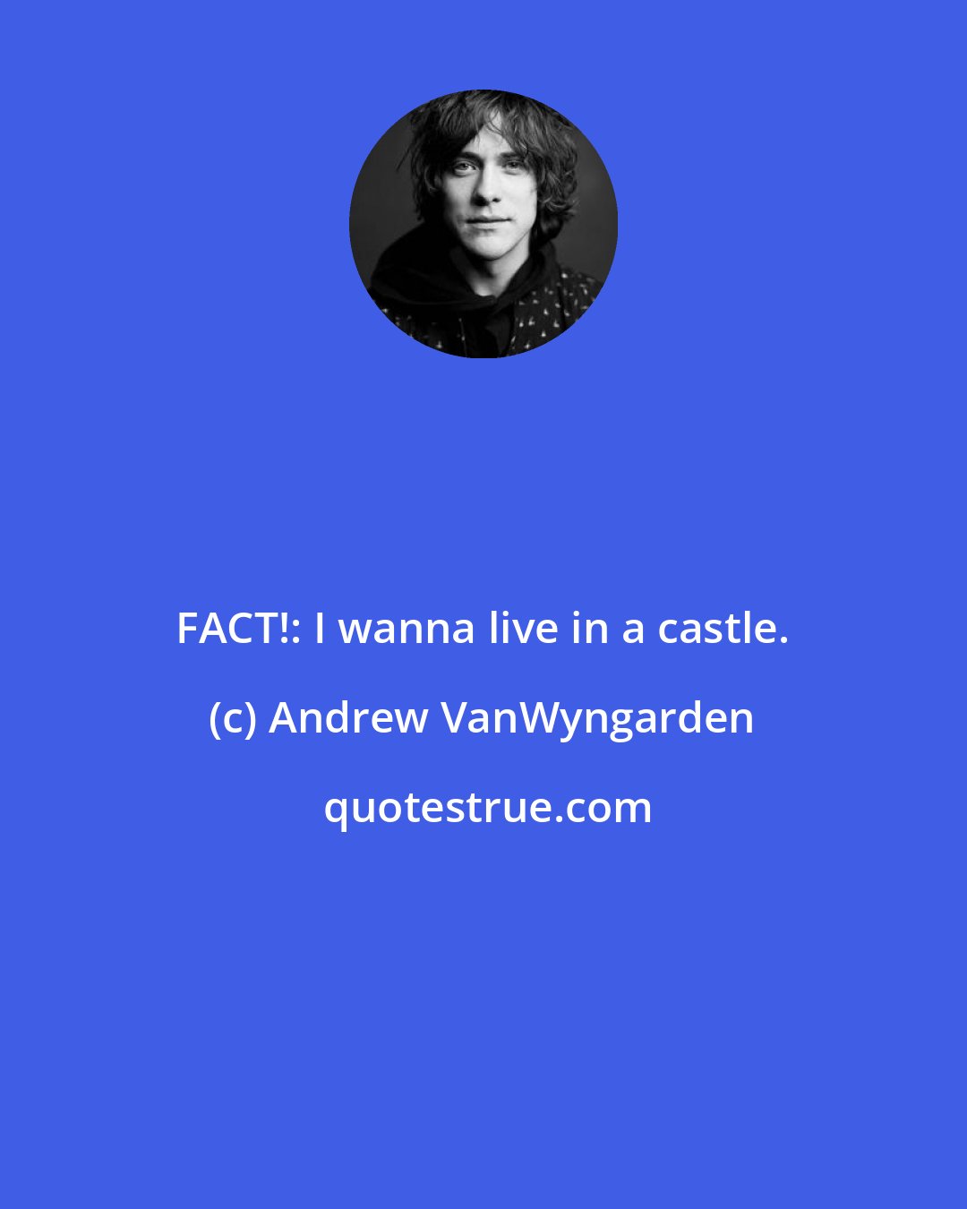 Andrew VanWyngarden: FACT!: I wanna live in a castle.