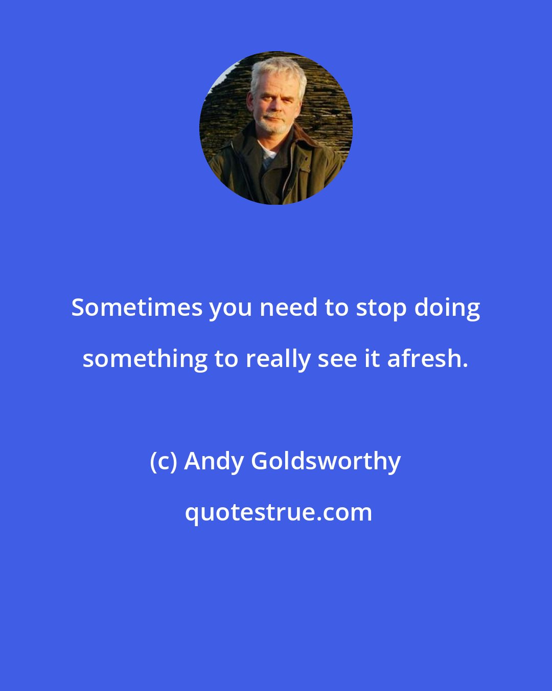 Andy Goldsworthy: Sometimes you need to stop doing something to really see it afresh.