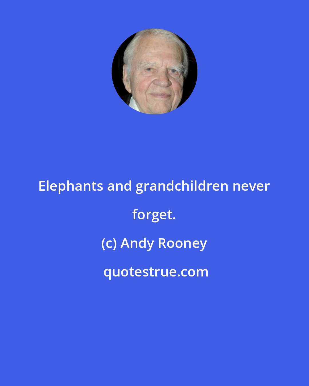Andy Rooney: Elephants and grandchildren never forget.