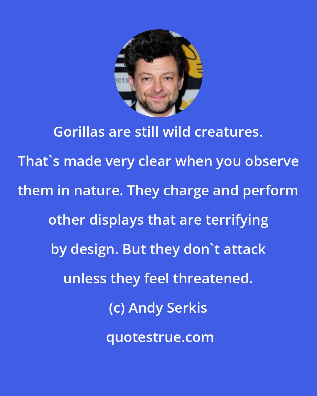 Andy Serkis: Gorillas are still wild creatures. That's made very clear when you observe them in nature. They charge and perform other displays that are terrifying by design. But they don't attack unless they feel threatened.