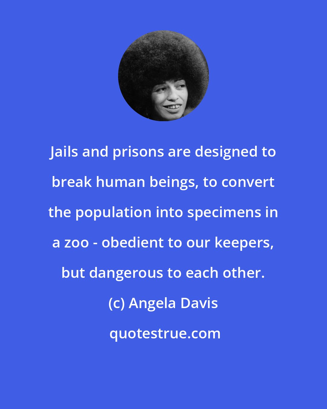 Angela Davis: Jails and prisons are designed to break human beings, to convert the population into specimens in a zoo - obedient to our keepers, but dangerous to each other.