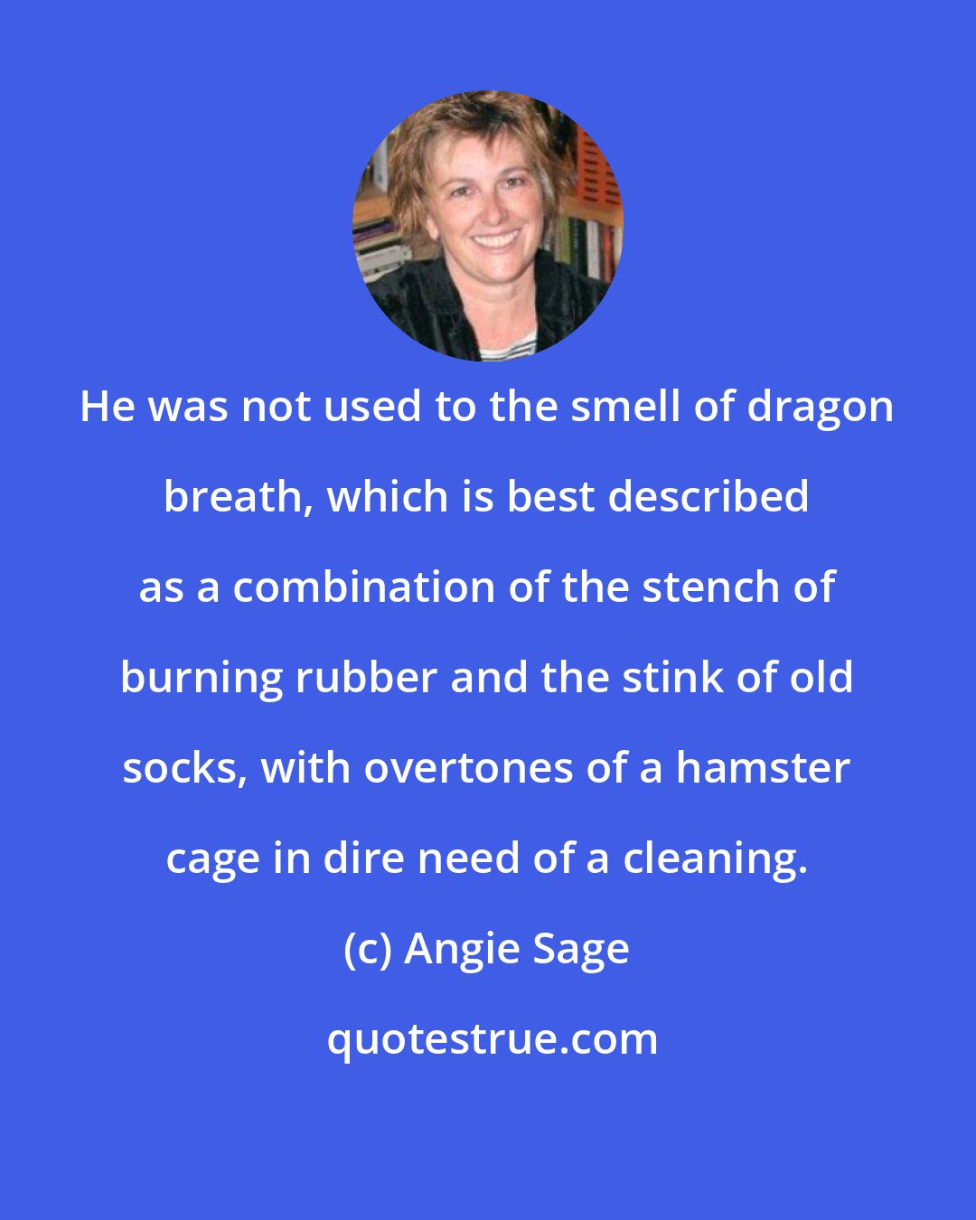 Angie Sage: He was not used to the smell of dragon breath, which is best described as a combination of the stench of burning rubber and the stink of old socks, with overtones of a hamster cage in dire need of a cleaning.