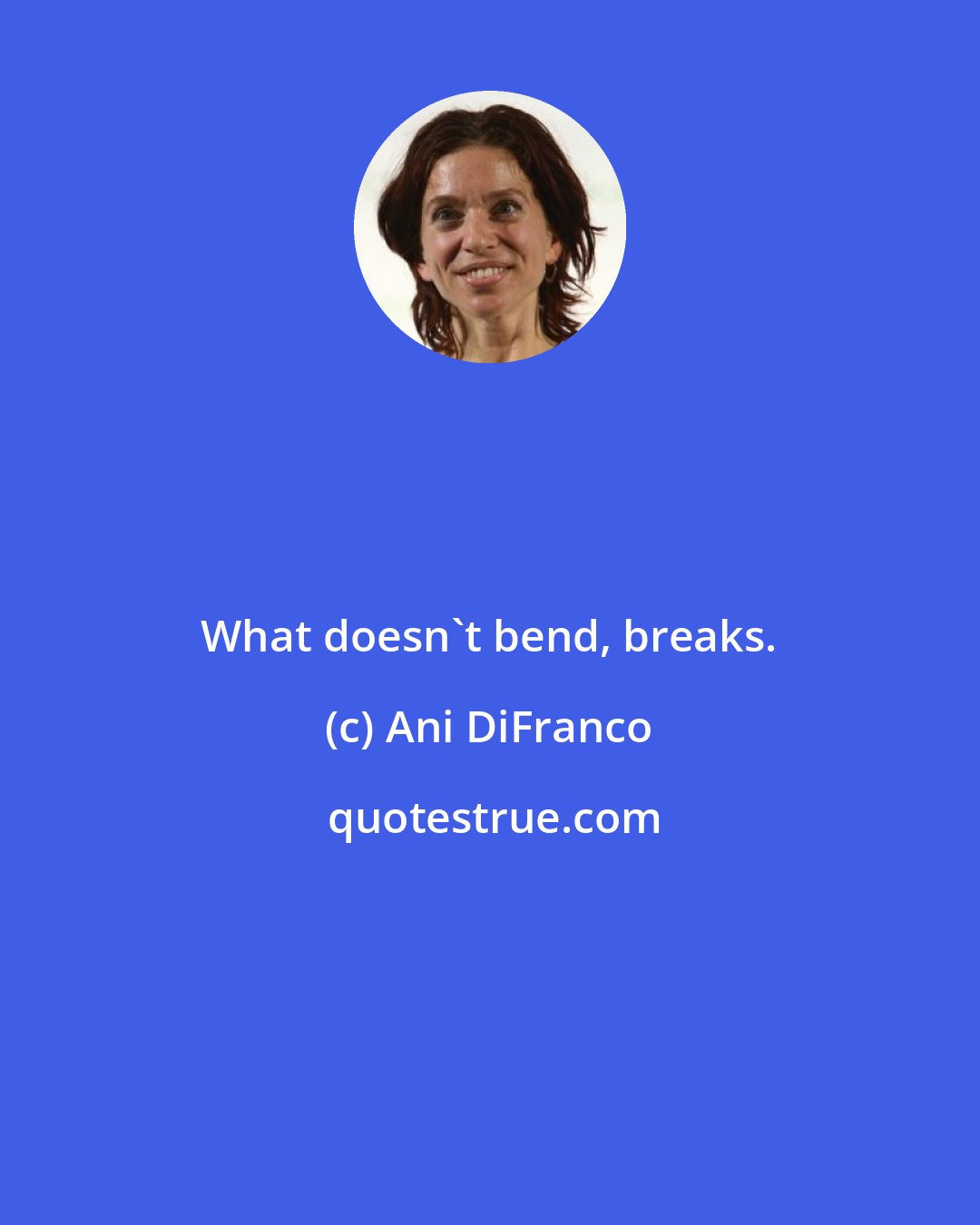 Ani DiFranco: What doesn't bend, breaks.