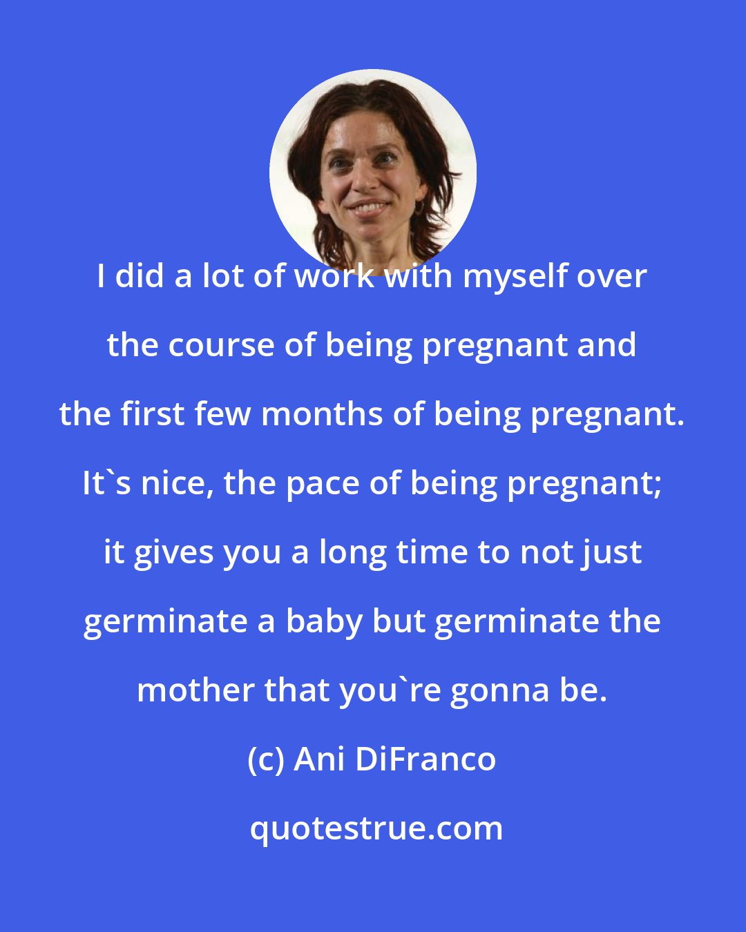 Ani DiFranco: I did a lot of work with myself over the course of being pregnant and the first few months of being pregnant. It's nice, the pace of being pregnant; it gives you a long time to not just germinate a baby but germinate the mother that you're gonna be.