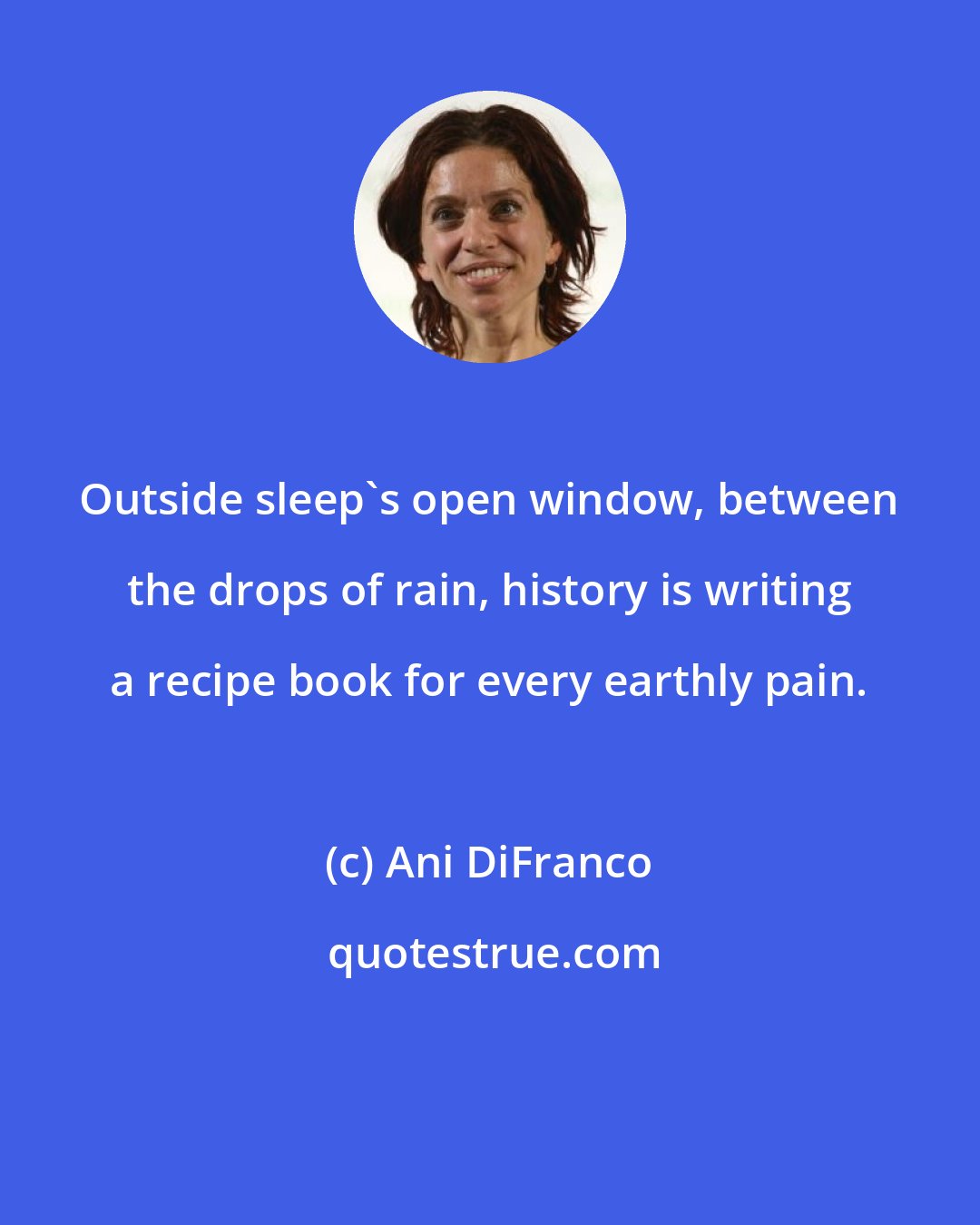 Ani DiFranco: Outside sleep's open window, between the drops of rain, history is writing a recipe book for every earthly pain.