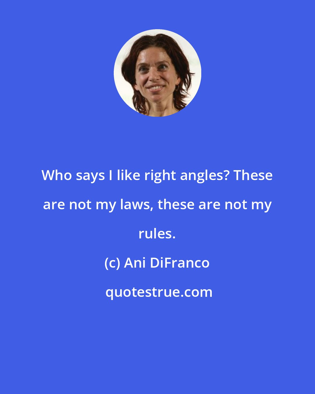 Ani DiFranco: Who says I like right angles? These are not my laws, these are not my rules.