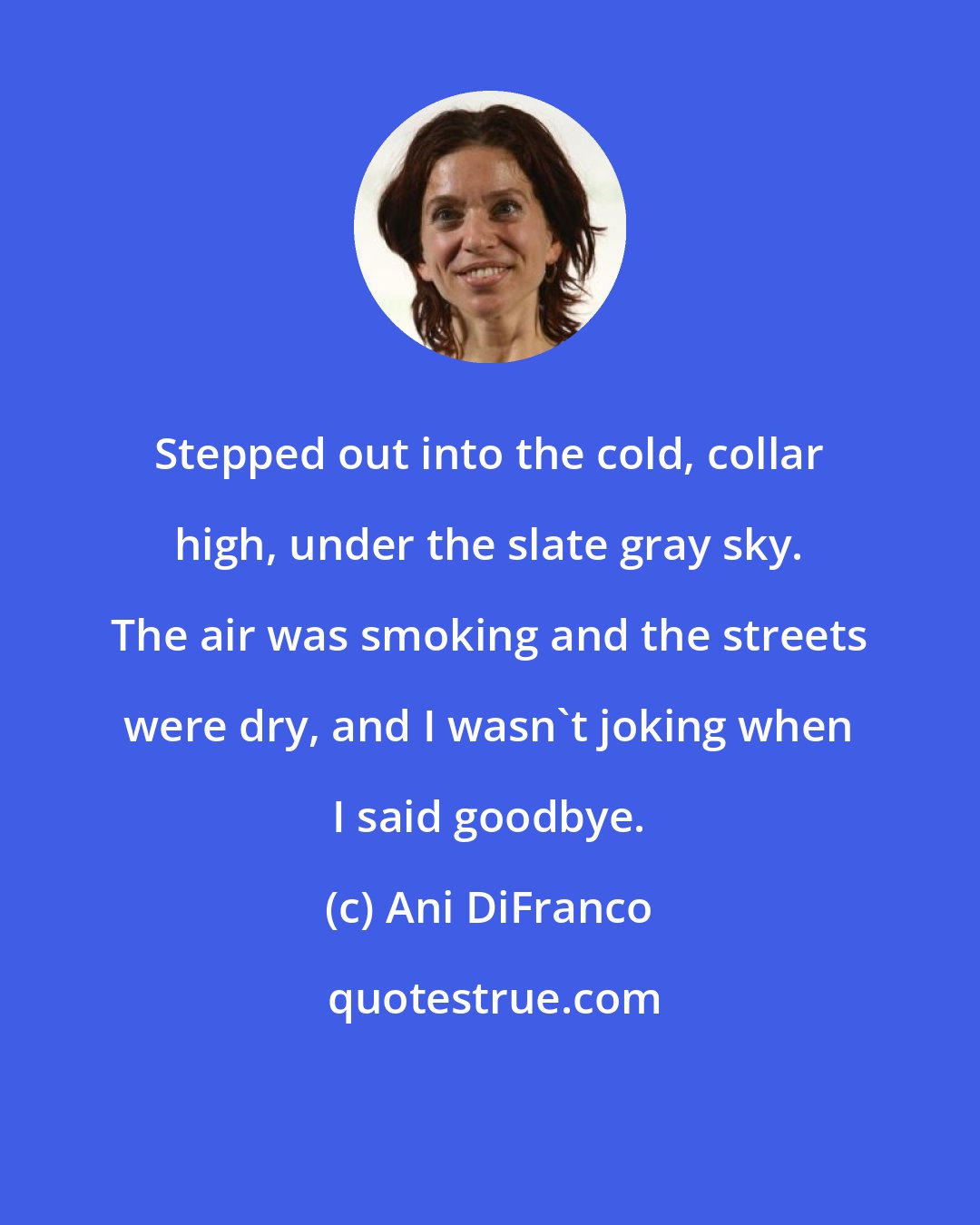 Ani DiFranco: Stepped out into the cold, collar high, under the slate gray sky. The air was smoking and the streets were dry, and I wasn't joking when I said goodbye.