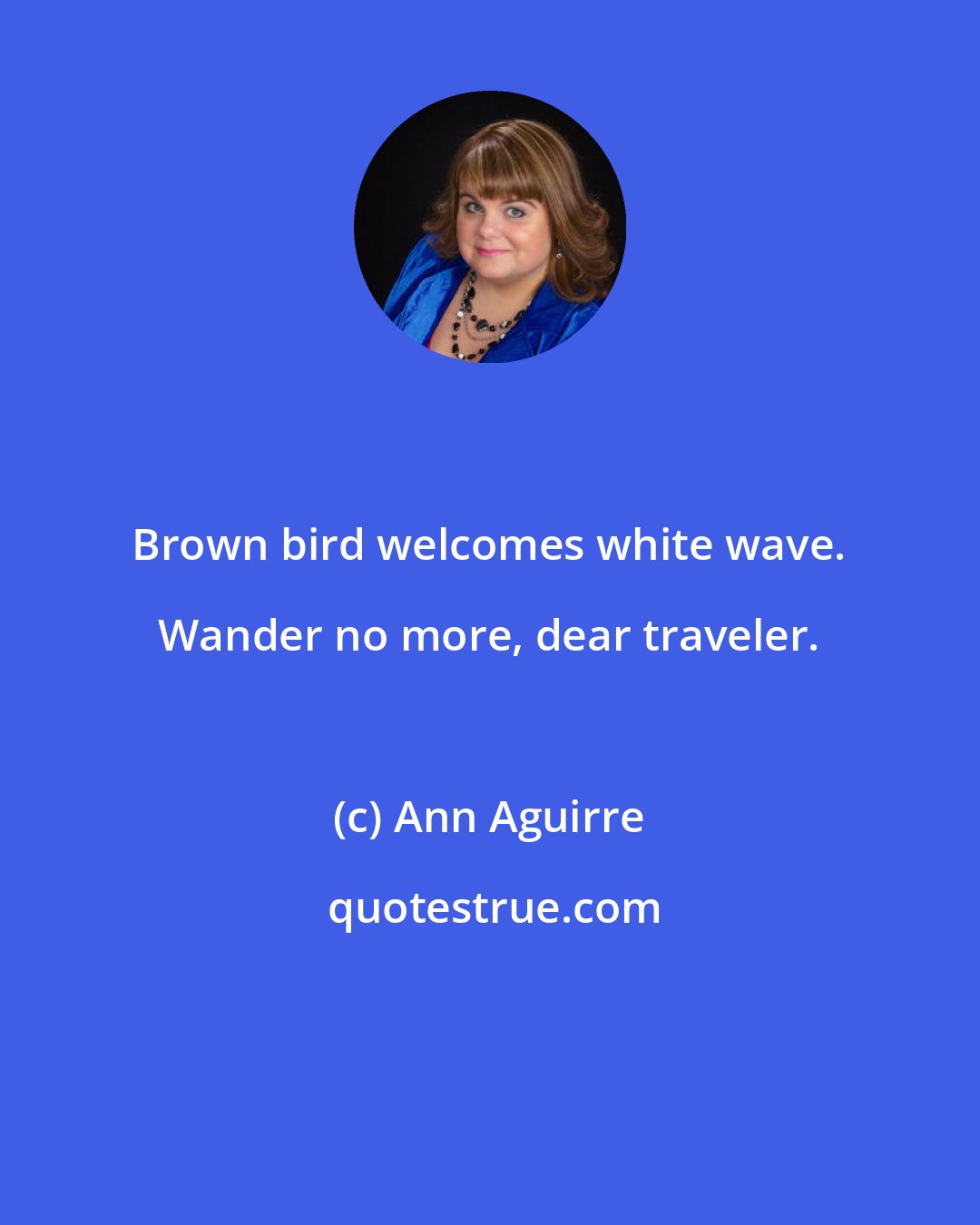 Ann Aguirre: Brown bird welcomes white wave. Wander no more, dear traveler.