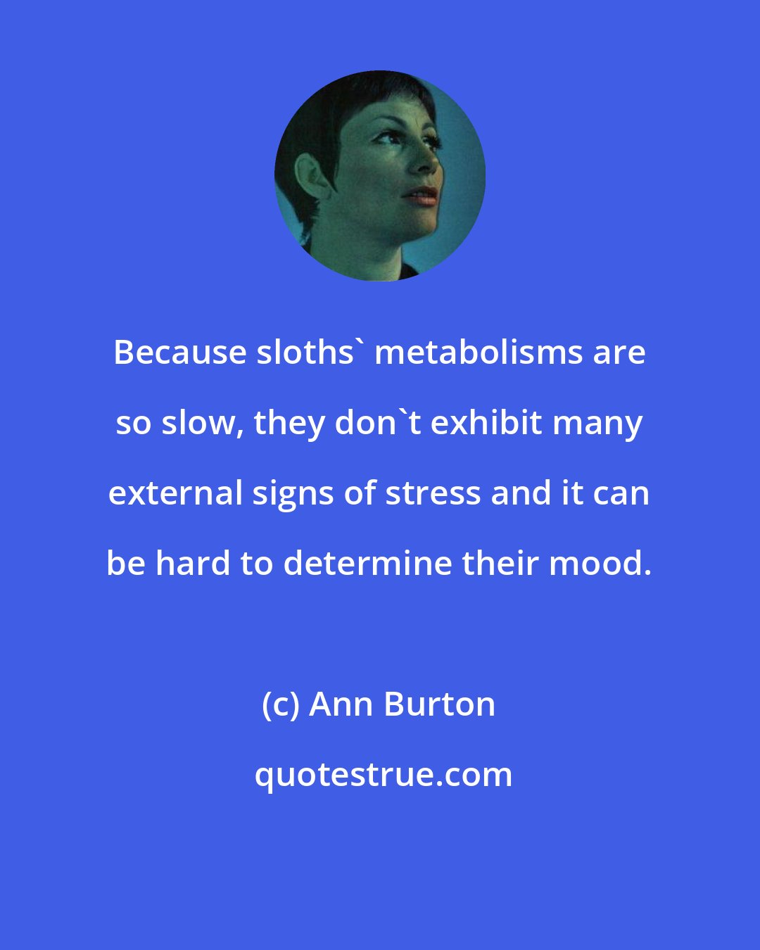 Ann Burton: Because sloths' metabolisms are so slow, they don't exhibit many external signs of stress and it can be hard to determine their mood.
