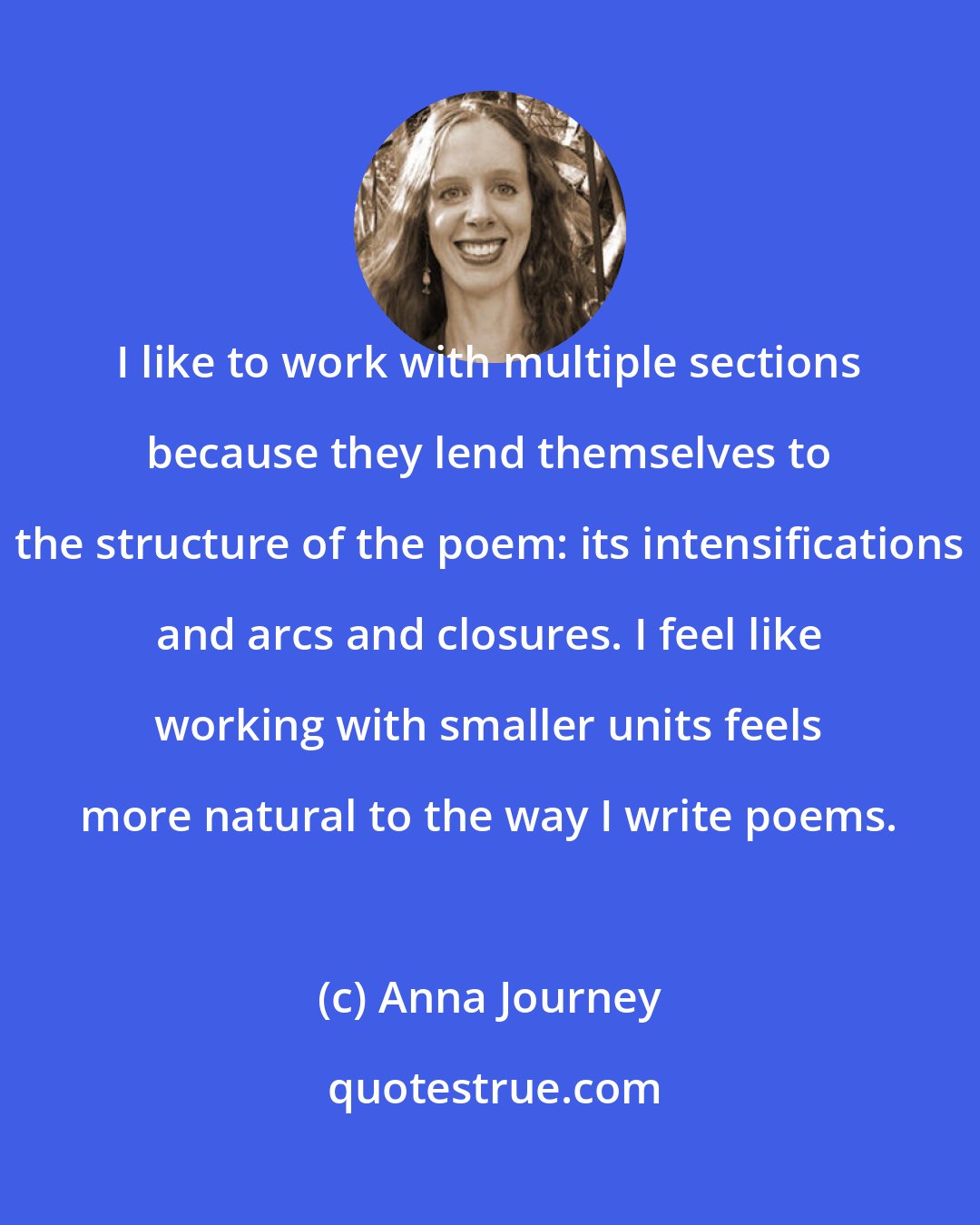 Anna Journey: I like to work with multiple sections because they lend themselves to the structure of the poem: its intensifications and arcs and closures. I feel like working with smaller units feels more natural to the way I write poems.