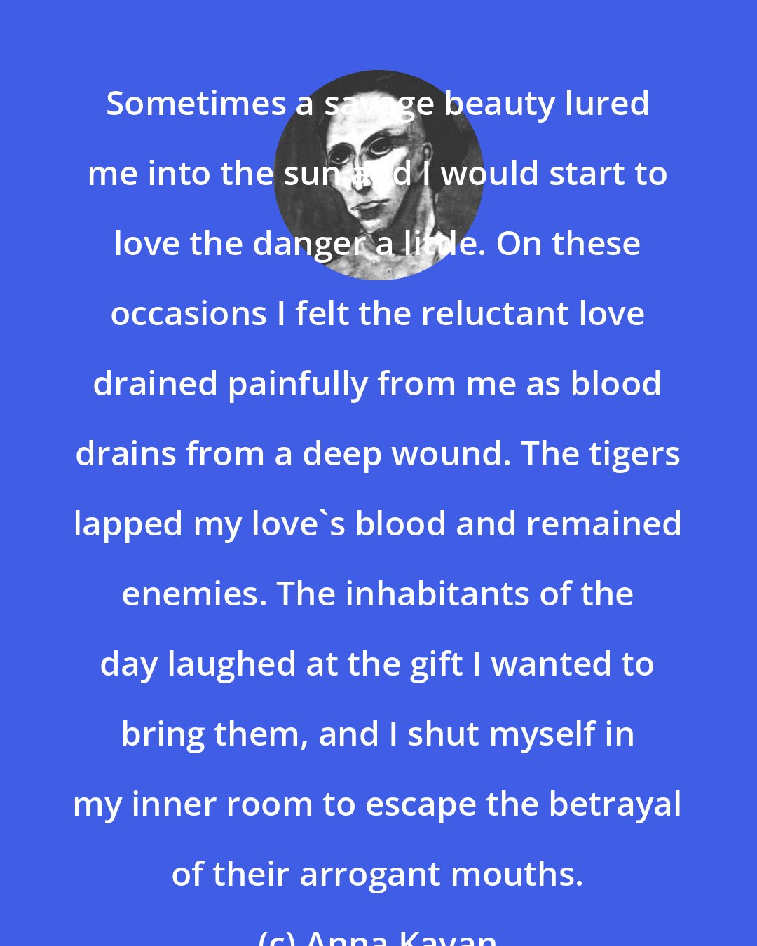 Anna Kavan: Sometimes a savage beauty lured me into the sun and I would start to love the danger a little. On these occasions I felt the reluctant love drained painfully from me as blood drains from a deep wound. The tigers lapped my love's blood and remained enemies. The inhabitants of the day laughed at the gift I wanted to bring them, and I shut myself in my inner room to escape the betrayal of their arrogant mouths.