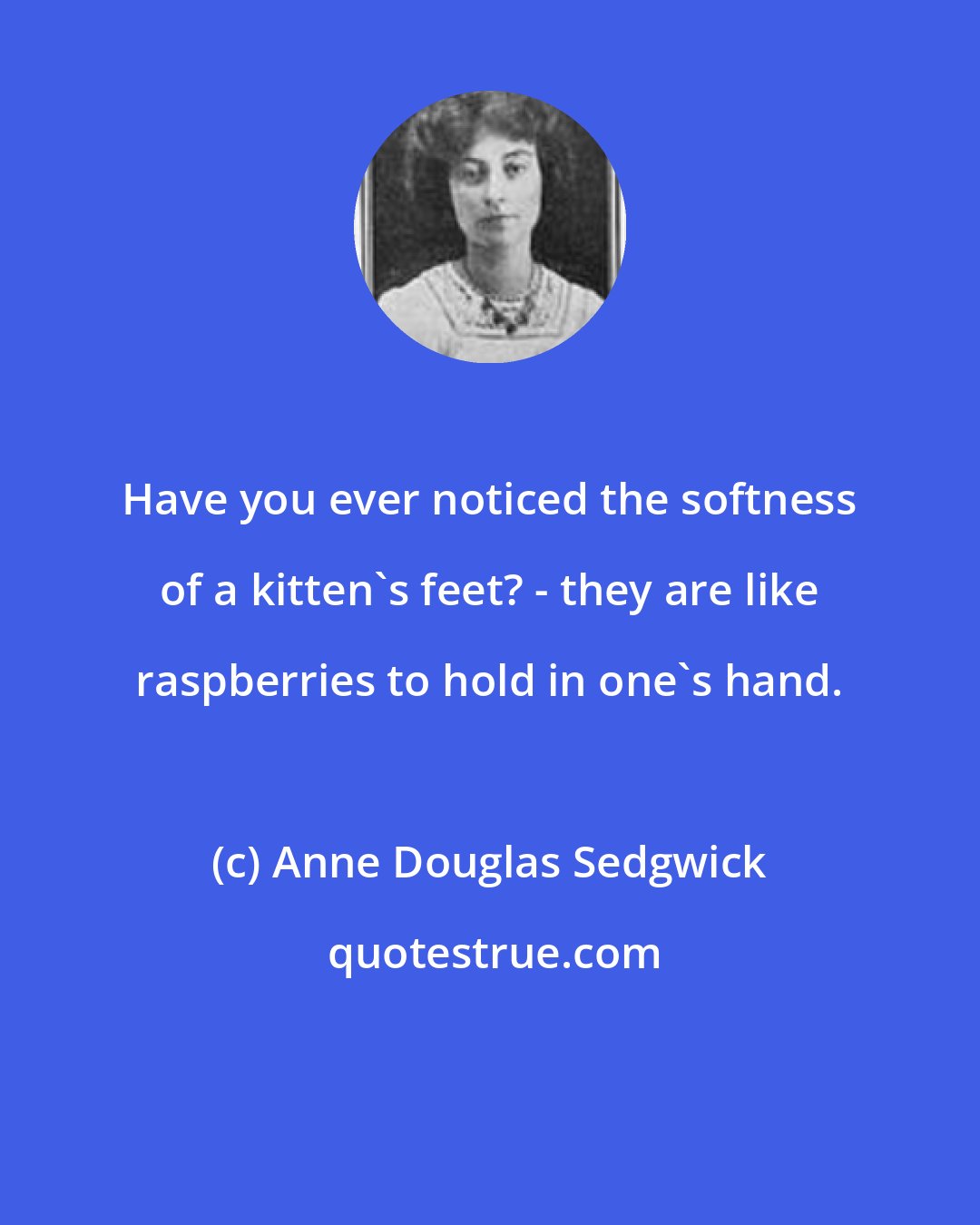 Anne Douglas Sedgwick: Have you ever noticed the softness of a kitten's feet? - they are like raspberries to hold in one's hand.