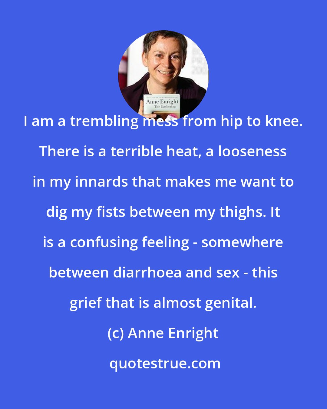 Anne Enright: I am a trembling mess from hip to knee. There is a terrible heat, a looseness in my innards that makes me want to dig my fists between my thighs. It is a confusing feeling - somewhere between diarrhoea and sex - this grief that is almost genital.