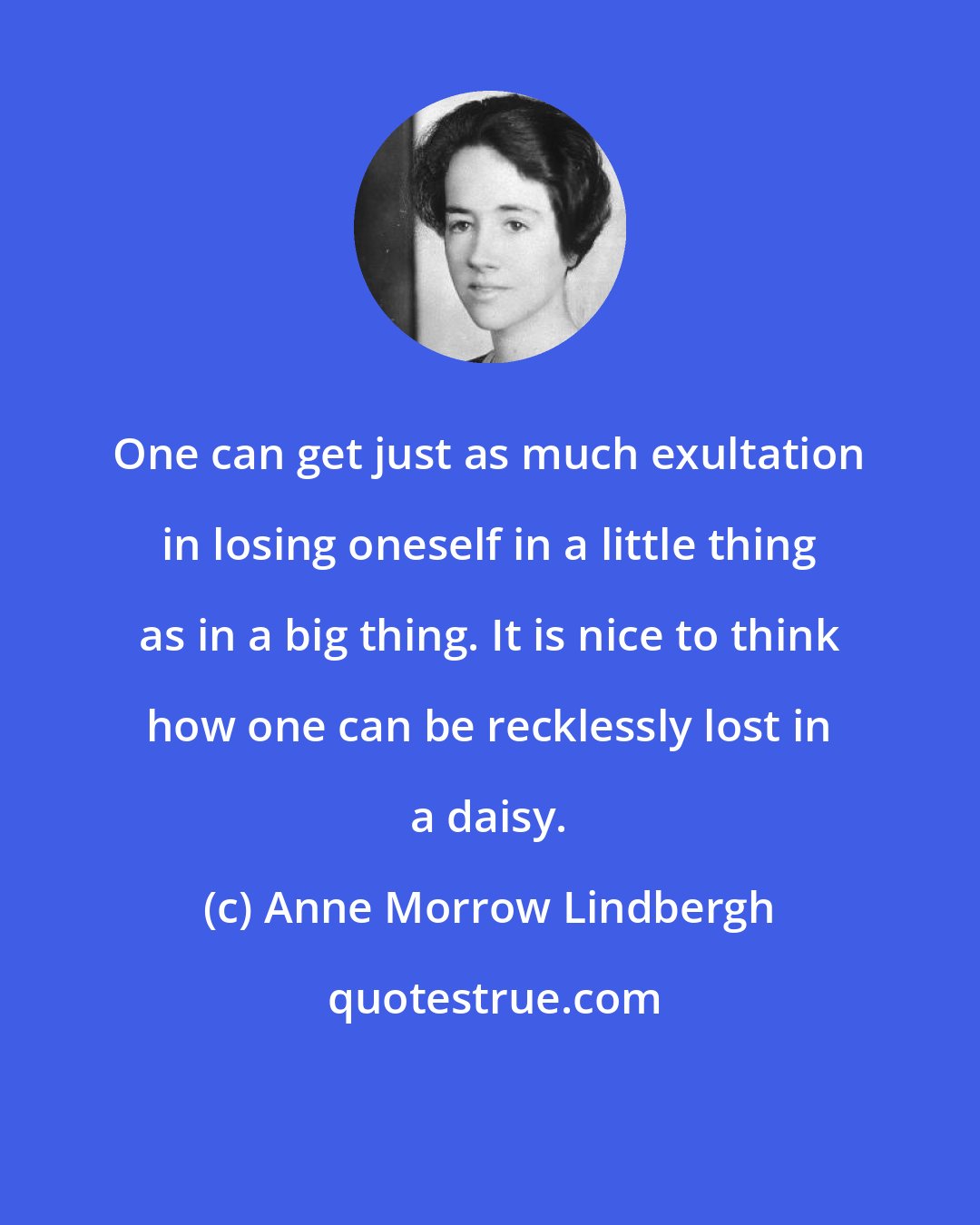 Anne Morrow Lindbergh: One can get just as much exultation in losing oneself in a little thing as in a big thing. It is nice to think how one can be recklessly lost in a daisy.