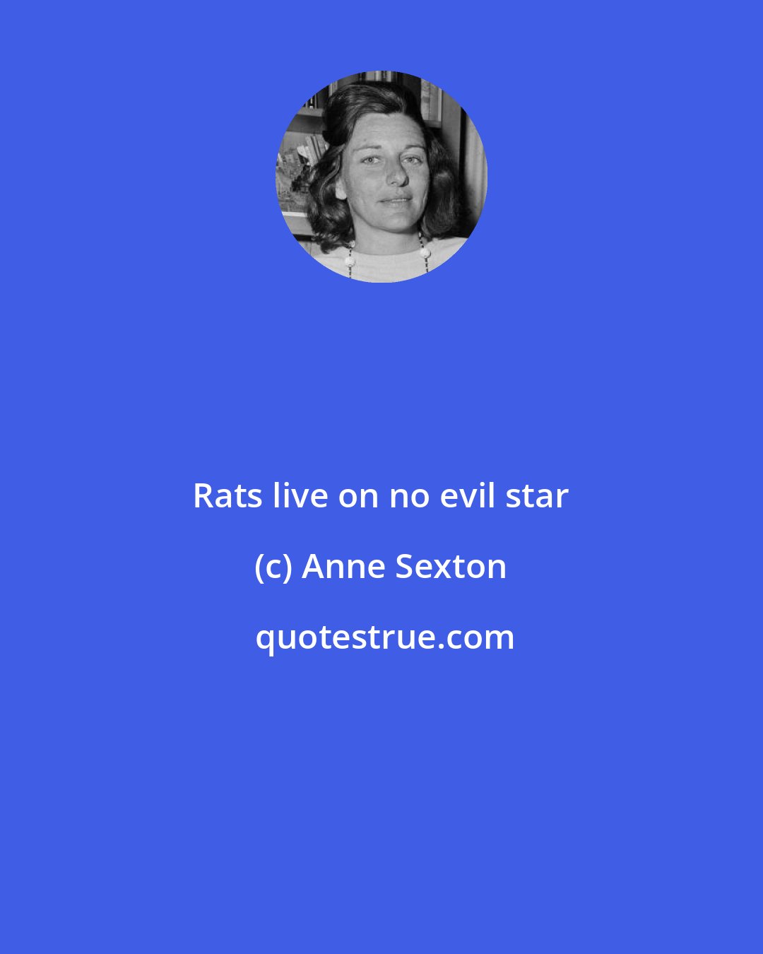 Anne Sexton: Rats live on no evil star