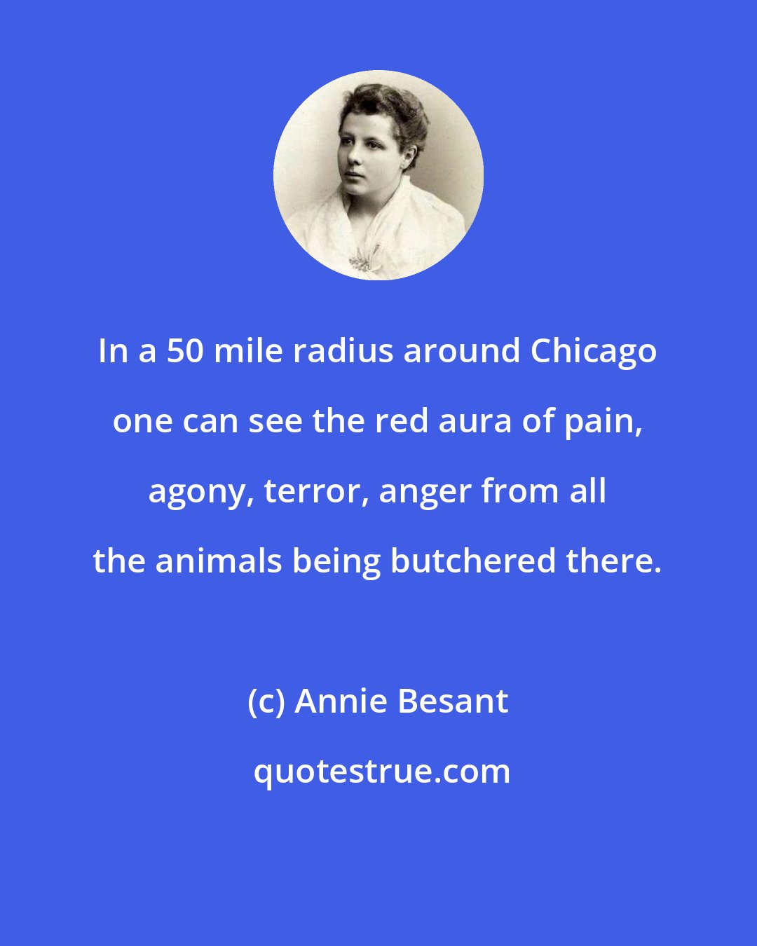 Annie Besant: In a 50 mile radius around Chicago one can see the red aura of pain, agony, terror, anger from all the animals being butchered there.