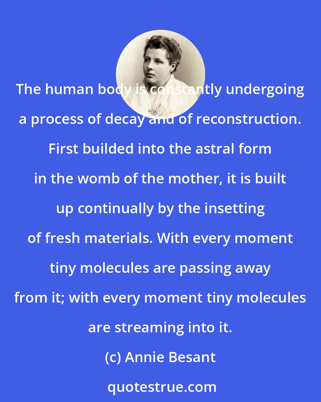 Annie Besant: The human body is constantly undergoing a process of decay and of reconstruction. First builded into the astral form in the womb of the mother, it is built up continually by the insetting of fresh materials. With every moment tiny molecules are passing away from it; with every moment tiny molecules are streaming into it.