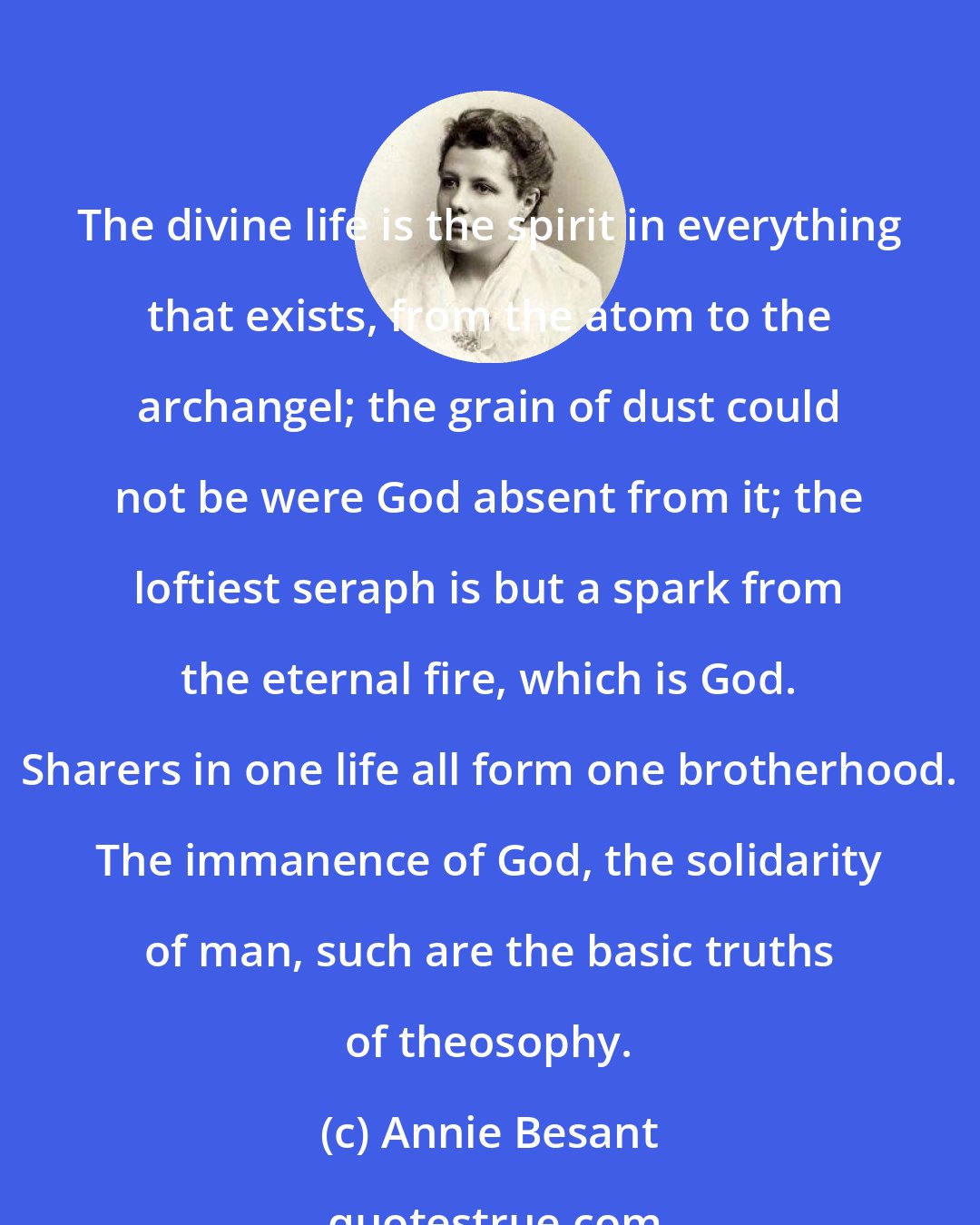 Annie Besant: The divine life is the spirit in everything that exists, from the atom to the archangel; the grain of dust could not be were God absent from it; the loftiest seraph is but a spark from the eternal fire, which is God. Sharers in one life all form one brotherhood. The immanence of God, the solidarity of man, such are the basic truths of theosophy.