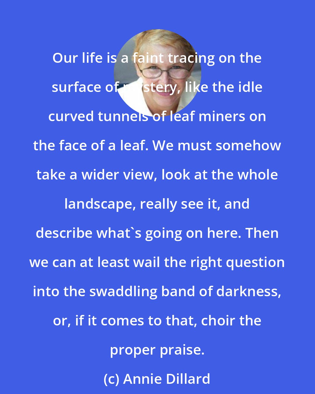 Annie Dillard: Our life is a faint tracing on the surface of mystery, like the idle curved tunnels of leaf miners on the face of a leaf. We must somehow take a wider view, look at the whole landscape, really see it, and describe what's going on here. Then we can at least wail the right question into the swaddling band of darkness, or, if it comes to that, choir the proper praise.