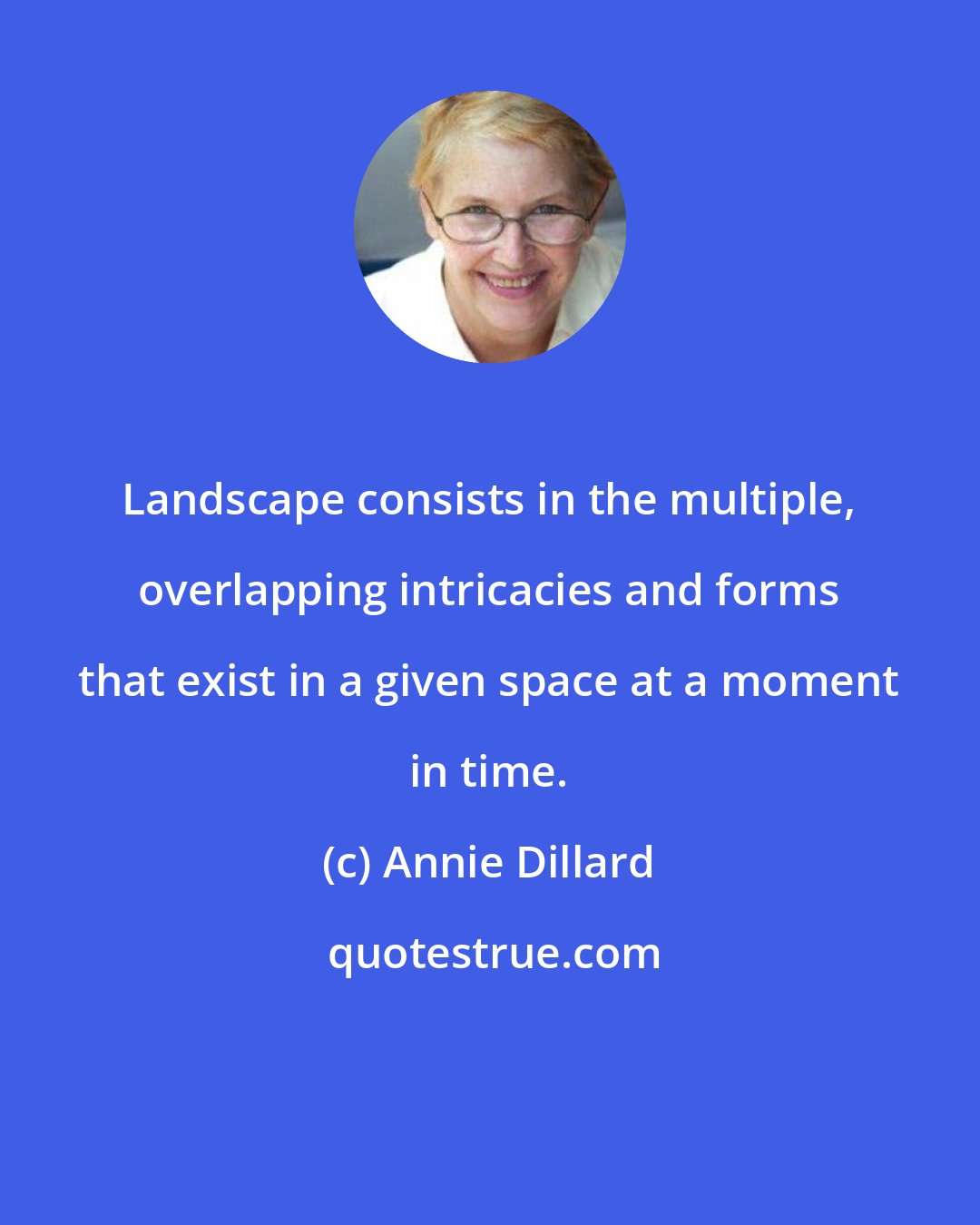 Annie Dillard: Landscape consists in the multiple, overlapping intricacies and forms that exist in a given space at a moment in time.