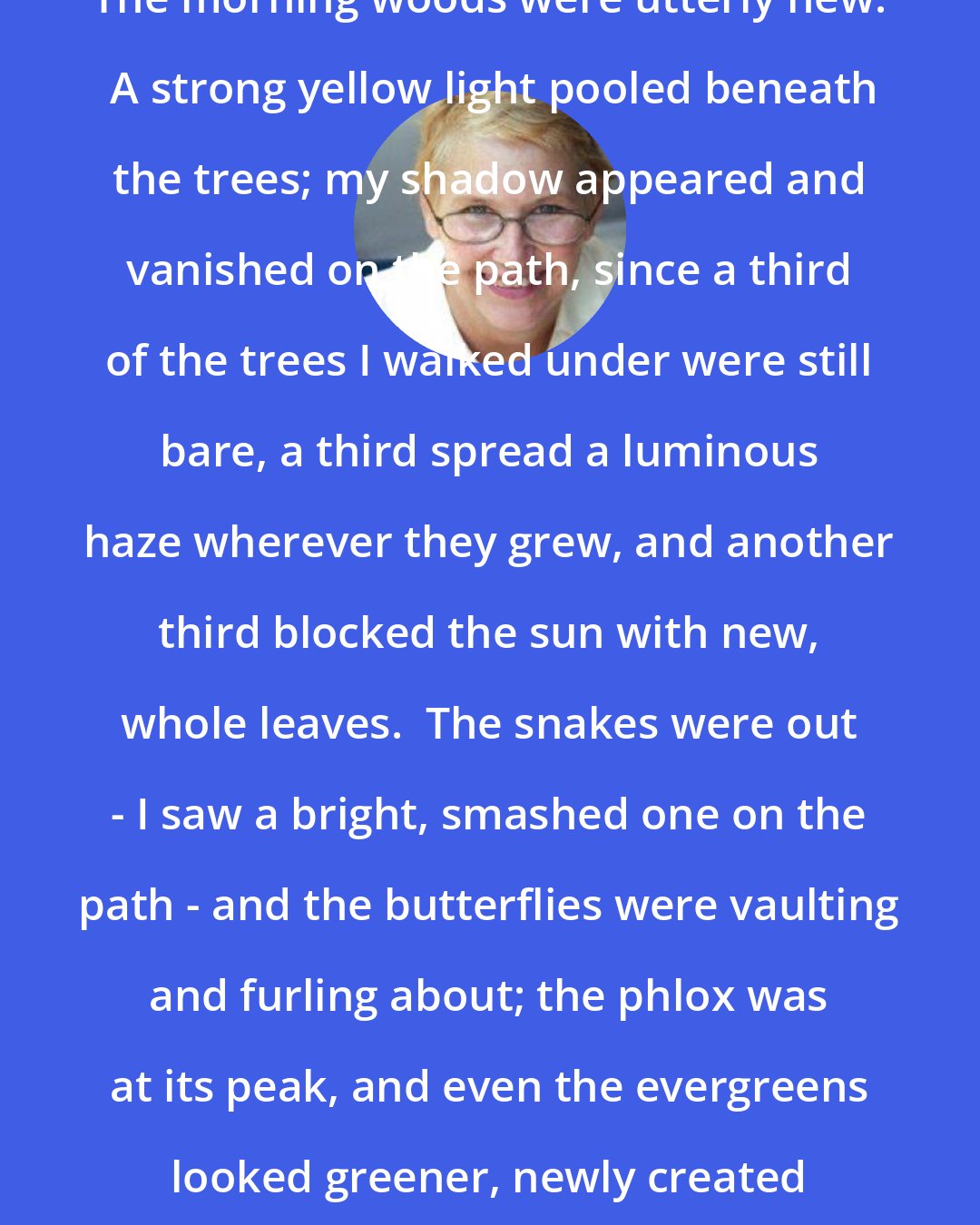 Annie Dillard: The morning woods were utterly new.  A strong yellow light pooled beneath the trees; my shadow appeared and vanished on the path, since a third of the trees I walked under were still bare, a third spread a luminous haze wherever they grew, and another third blocked the sun with new, whole leaves.  The snakes were out - I saw a bright, smashed one on the path - and the butterflies were vaulting and furling about; the phlox was at its peak, and even the evergreens looked greener, newly created and washed.