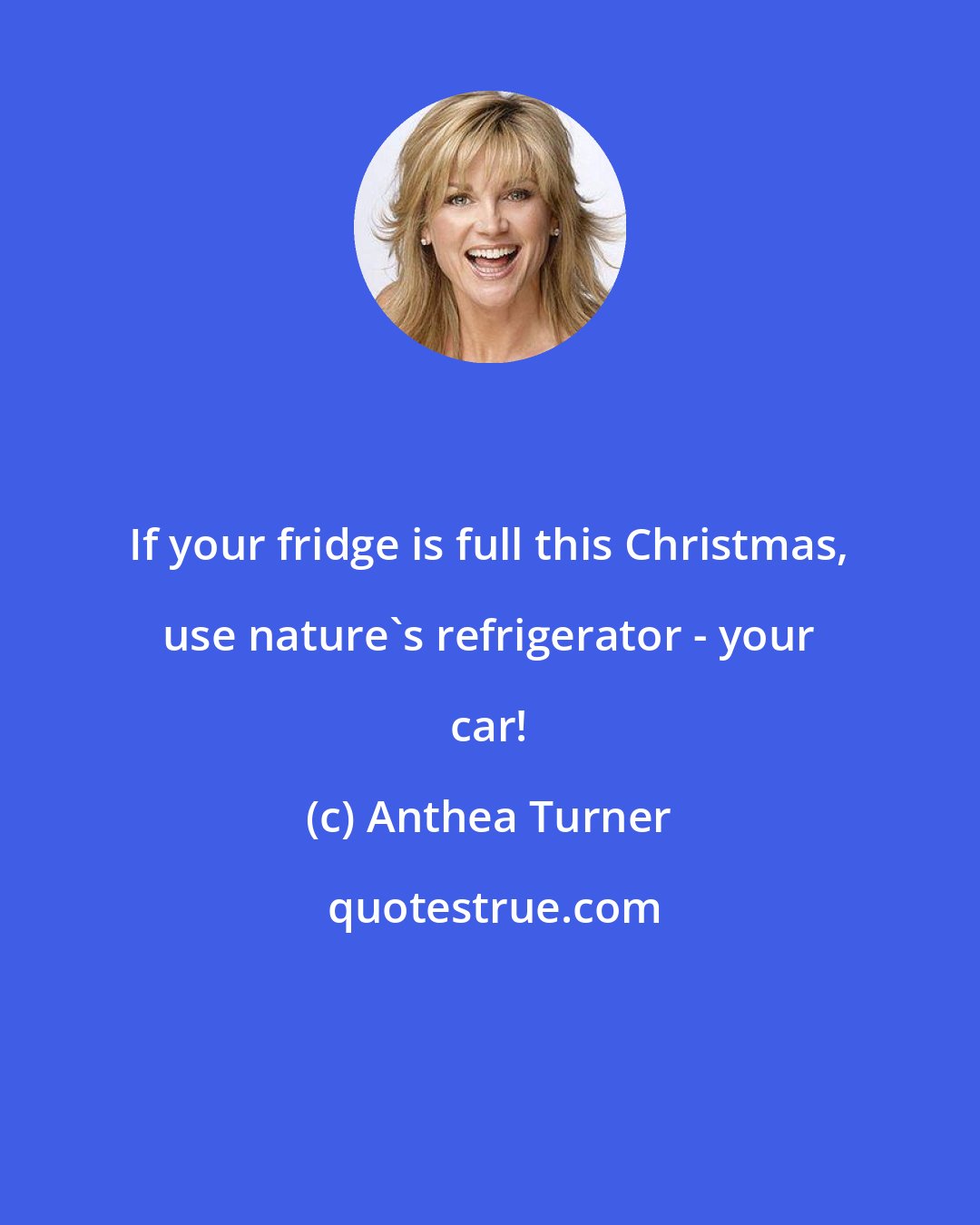 Anthea Turner: If your fridge is full this Christmas, use nature's refrigerator - your car!
