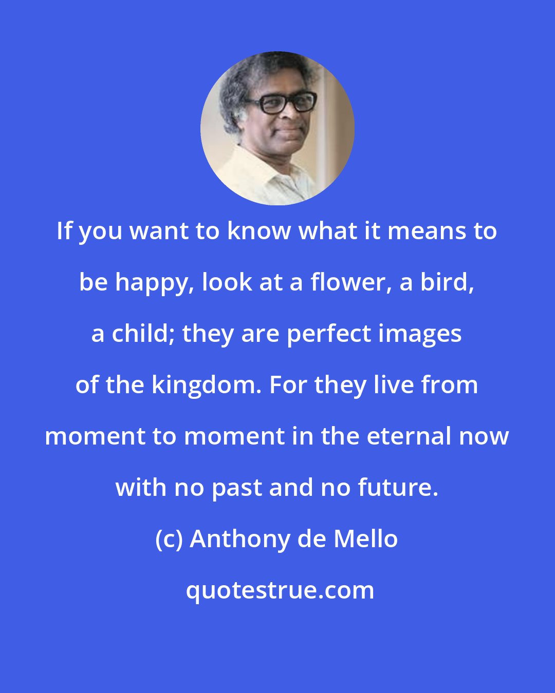 Anthony de Mello: If you want to know what it means to be happy, look at a flower, a bird, a child; they are perfect images of the kingdom. For they live from moment to moment in the eternal now with no past and no future.