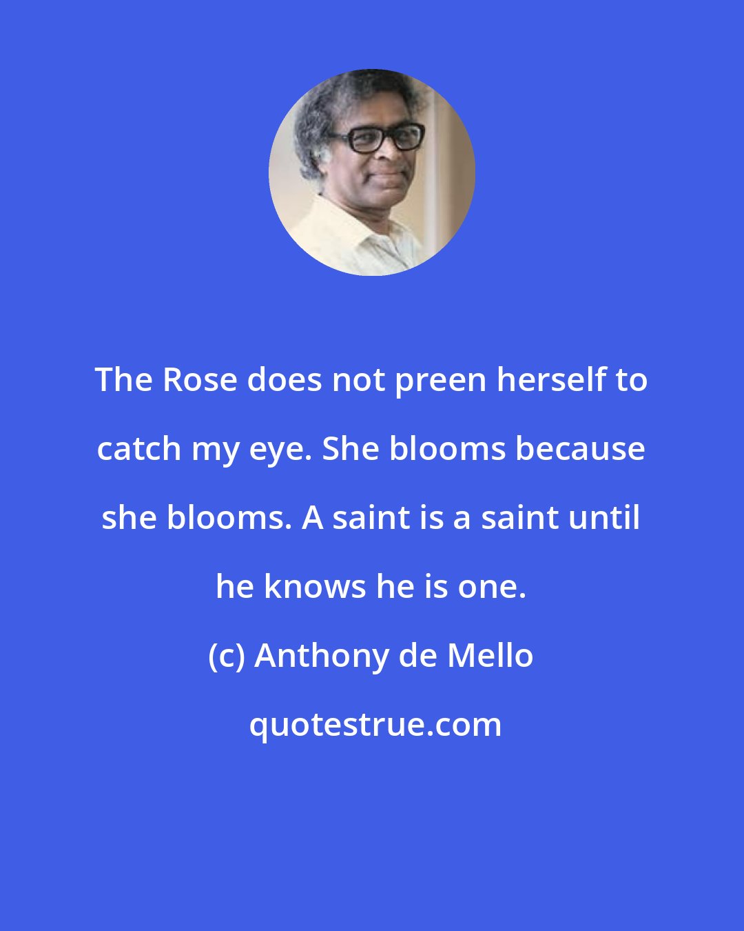 Anthony de Mello: The Rose does not preen herself to catch my eye. She blooms because she blooms. A saint is a saint until he knows he is one.