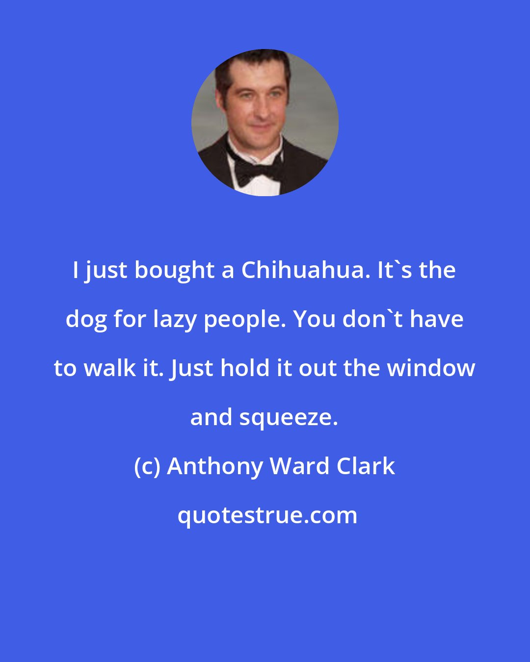 Anthony Ward Clark: I just bought a Chihuahua. It's the dog for lazy people. You don't have to walk it. Just hold it out the window and squeeze.