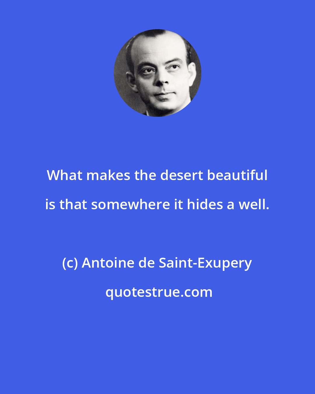 Antoine de Saint-Exupery: What makes the desert beautiful is that somewhere it hides a well.