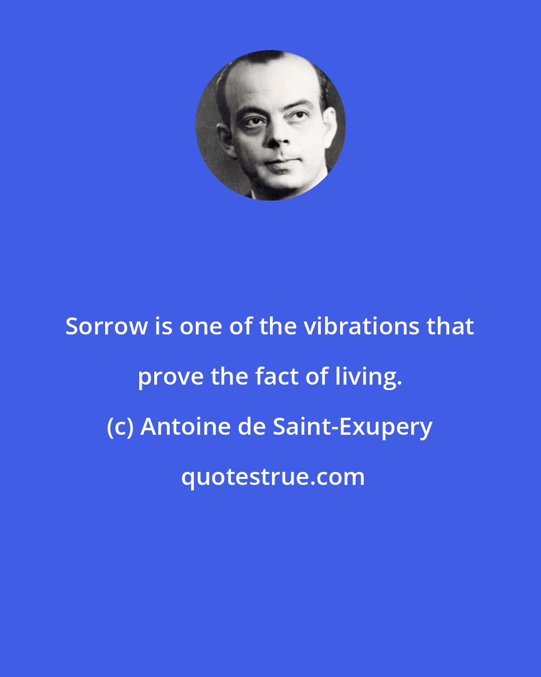 Antoine de Saint-Exupery: Sorrow is one of the vibrations that prove the fact of living.