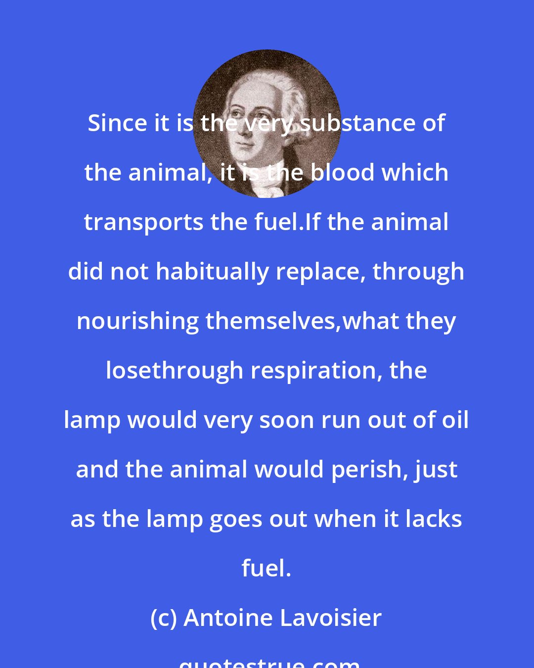 Antoine Lavoisier: Since it is the very substance of the animal, it is the blood which transports the fuel.If the animal did not habitually replace, through nourishing themselves,what they losethrough respiration, the lamp would very soon run out of oil and the animal would perish, just as the lamp goes out when it lacks fuel.