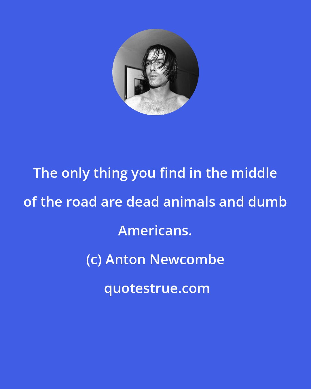 Anton Newcombe: The only thing you find in the middle of the road are dead animals and dumb Americans.