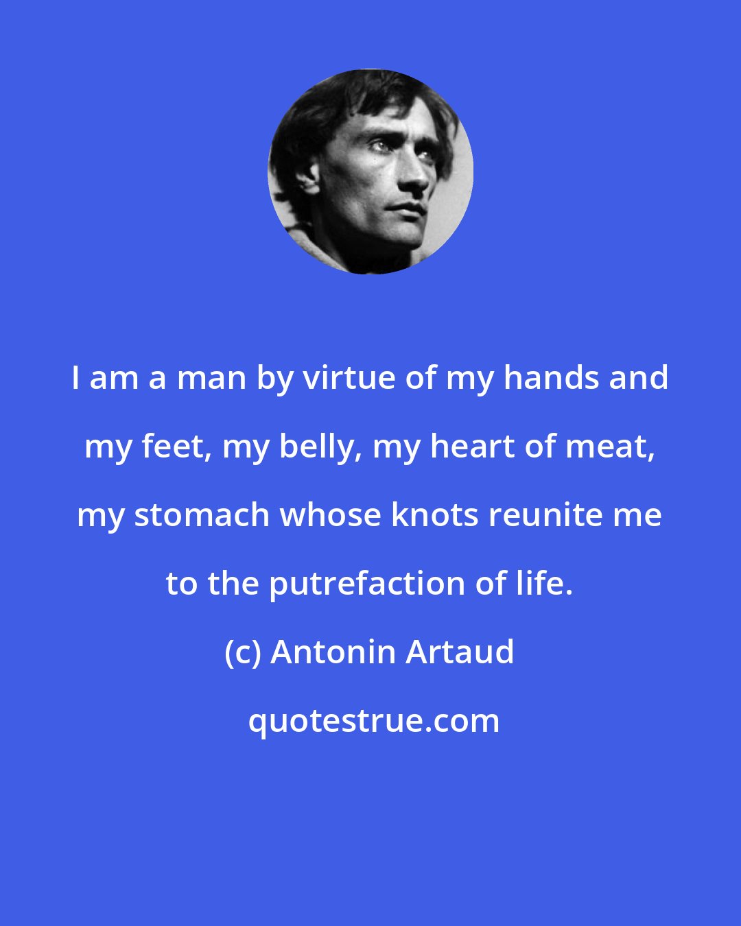 Antonin Artaud: I am a man by virtue of my hands and my feet, my belly, my heart of meat, my stomach whose knots reunite me to the putrefaction of life.