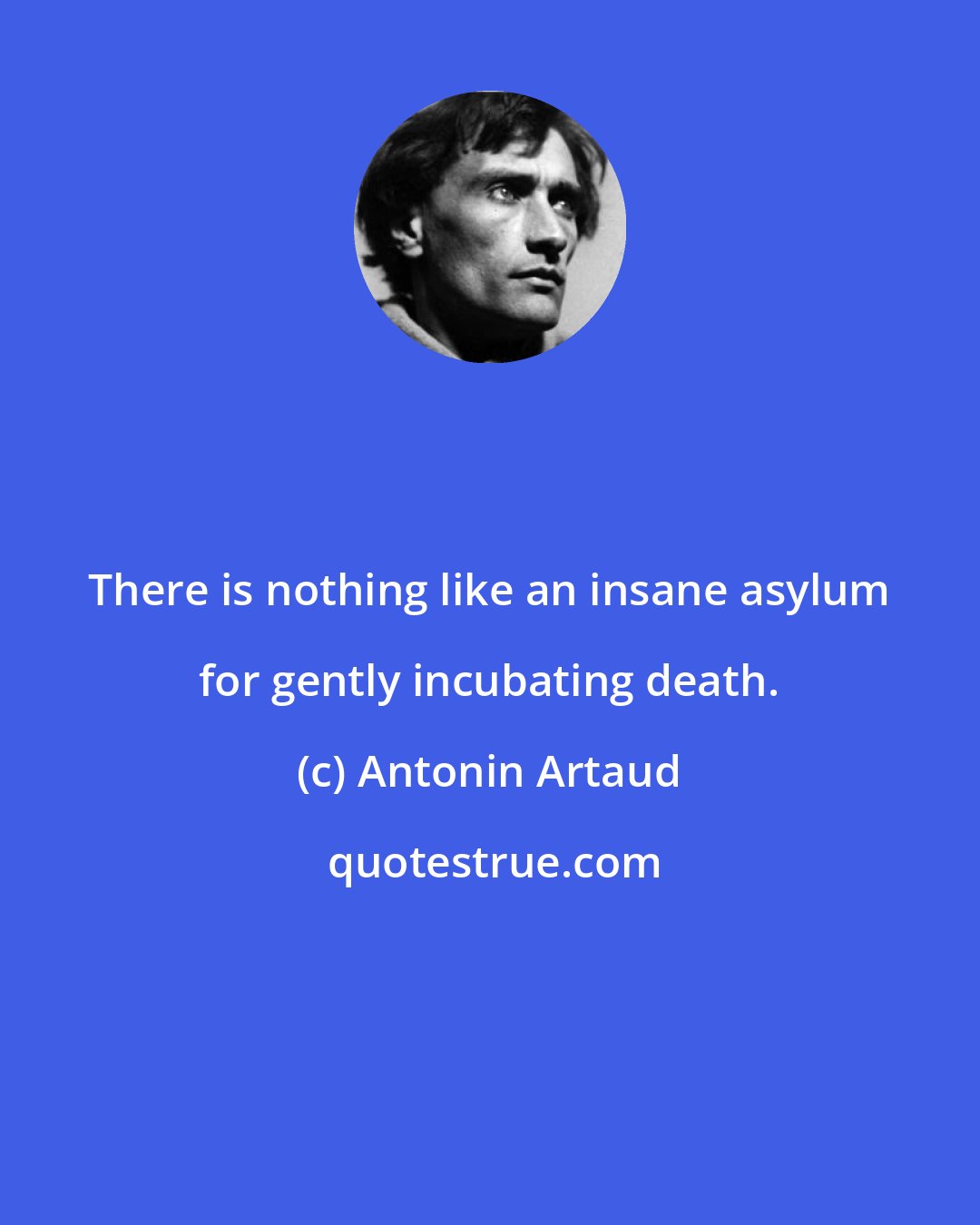 Antonin Artaud: There is nothing like an insane asylum for gently incubating death.