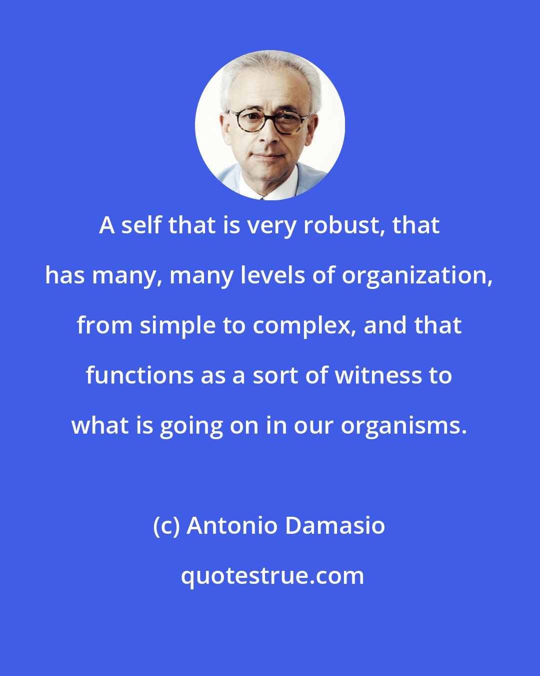 Antonio Damasio: A self that is very robust, that has many, many levels of organization, from simple to complex, and that functions as a sort of witness to what is going on in our organisms.