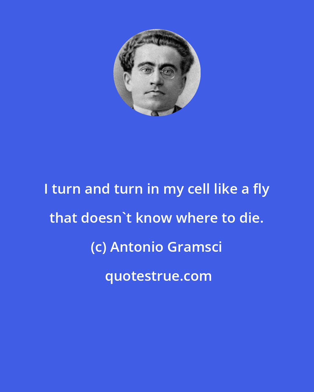 Antonio Gramsci: I turn and turn in my cell like a fly that doesn't know where to die.