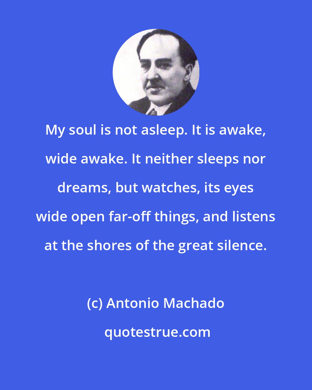 Antonio Machado: My soul is not asleep. It is awake, wide awake. It neither sleeps nor dreams, but watches, its eyes wide open far-off things, and listens at the shores of the great silence.